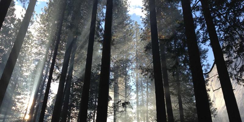 破局与新生：深度解析NFV如何重塑电信运营商网络架构