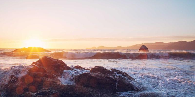 软件定义网络(SDN)实战指南：解锁企业网络架构的敏捷性与智能运维